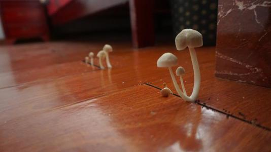 潮濕的地下室對人體有哪些危害？